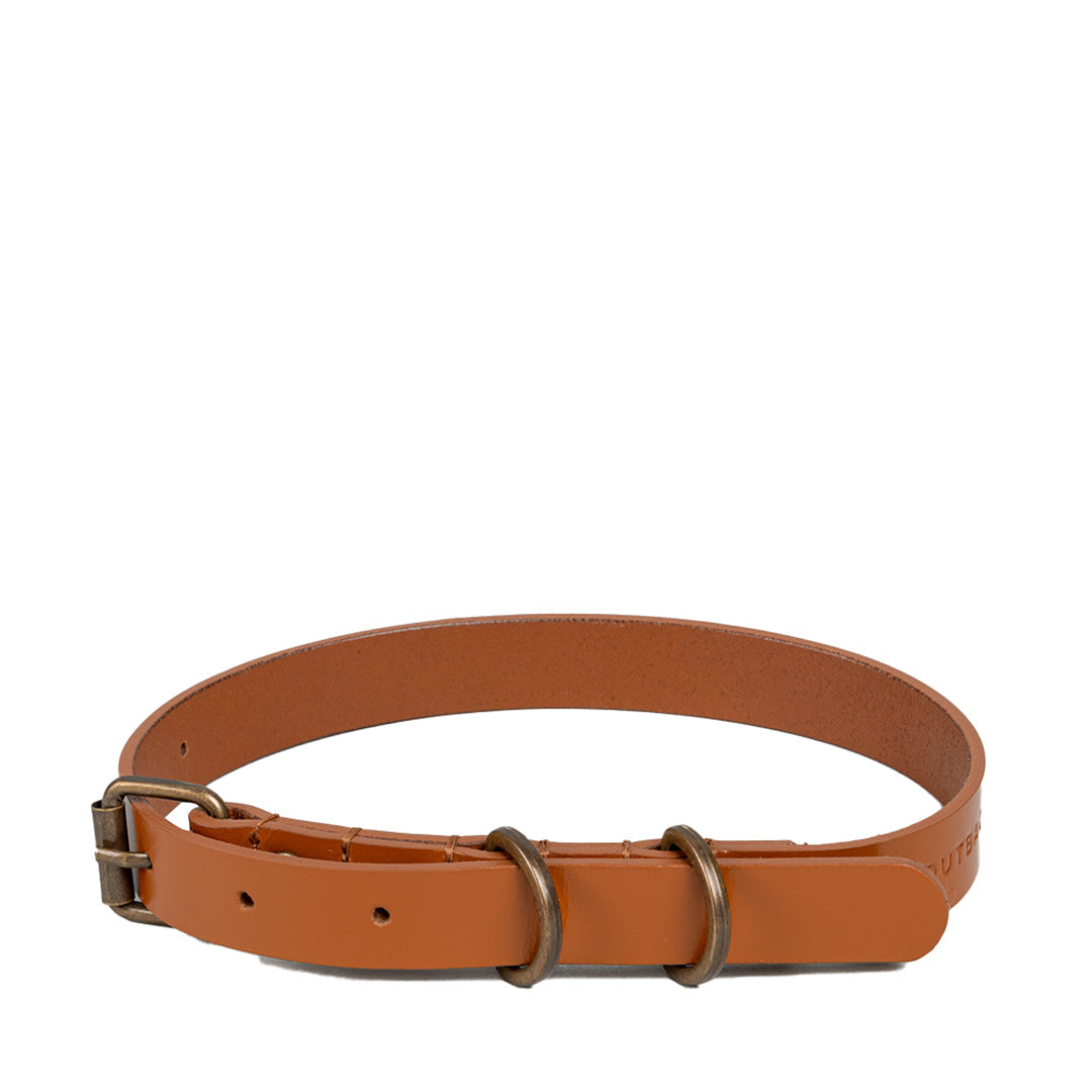 Pet Collar