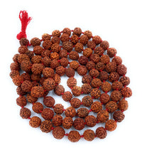 5 Mukhi Rudraksh Mala (Small Beads)