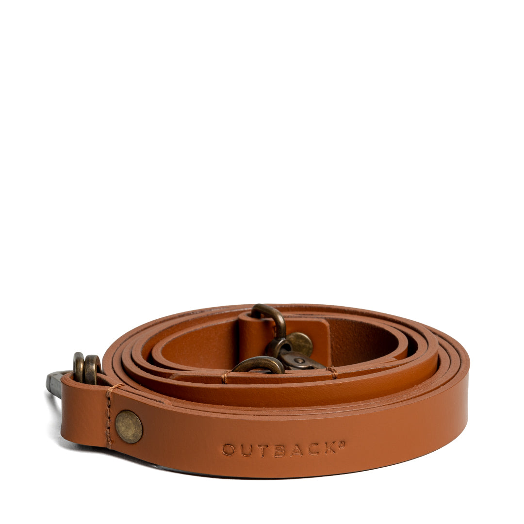 Pet Leash