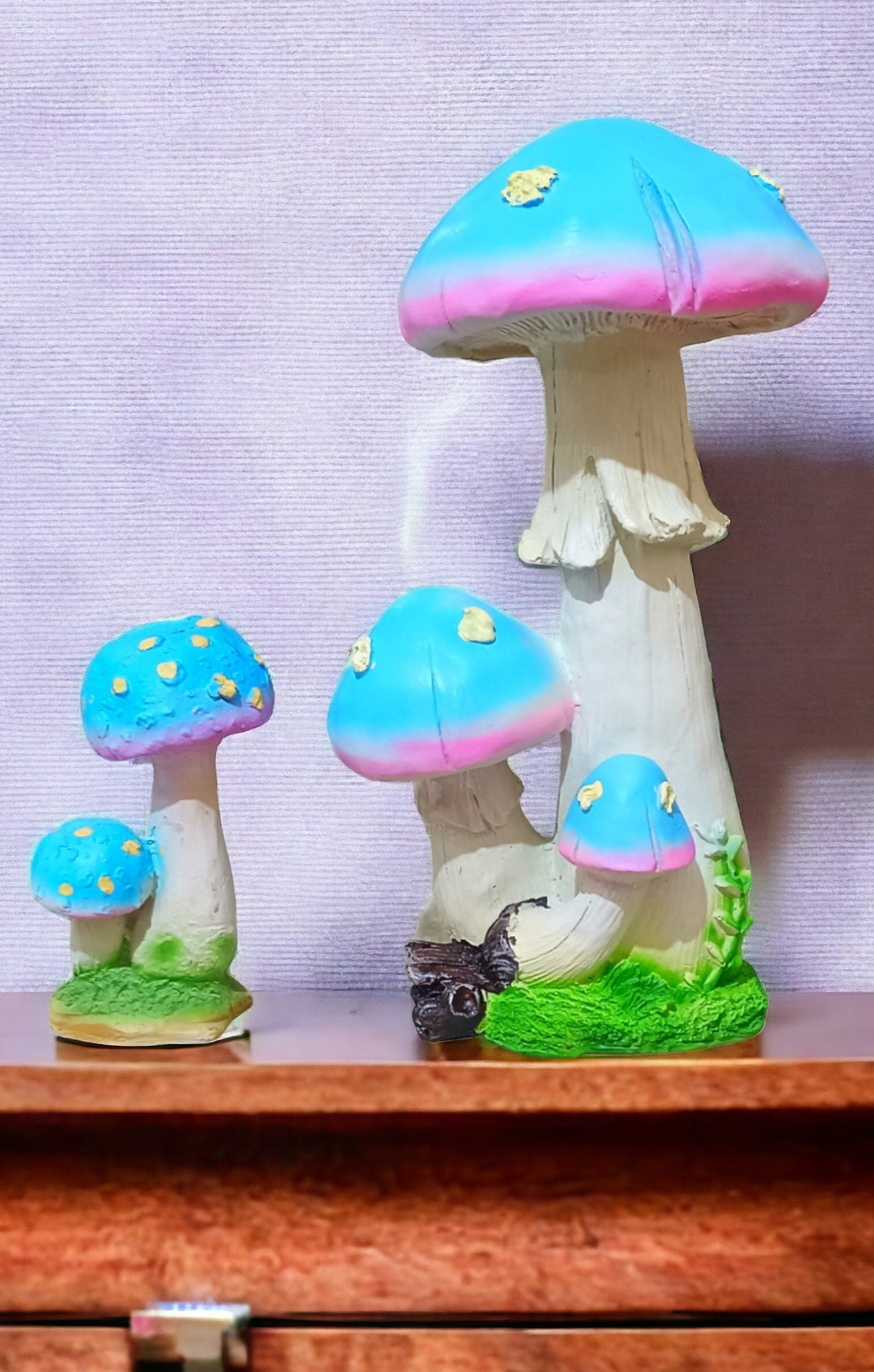 Mushroom Set