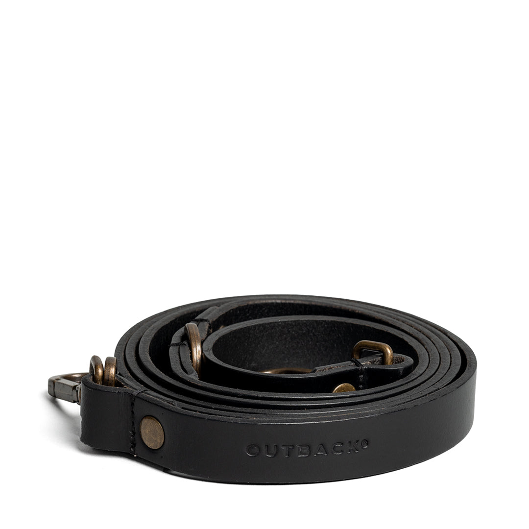 Pet Leash
