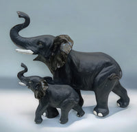 Blue Elephant Family
