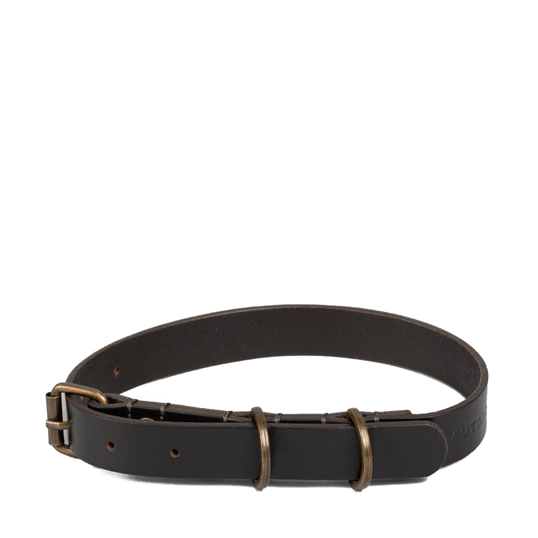 Pet Collar