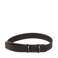 Pet Collar