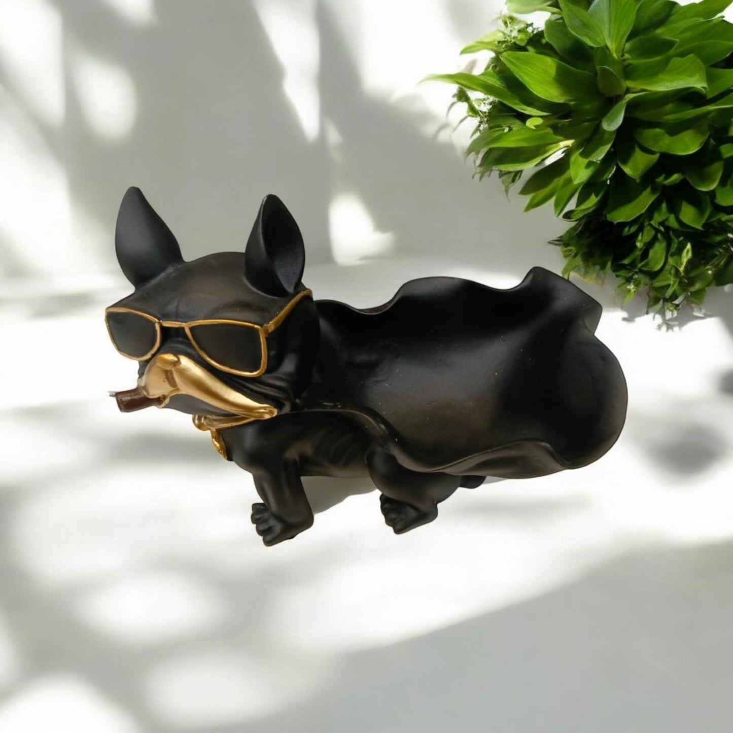 Dog Cigratte