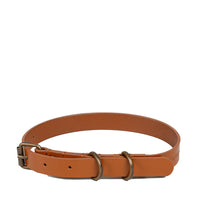 Pet Collar