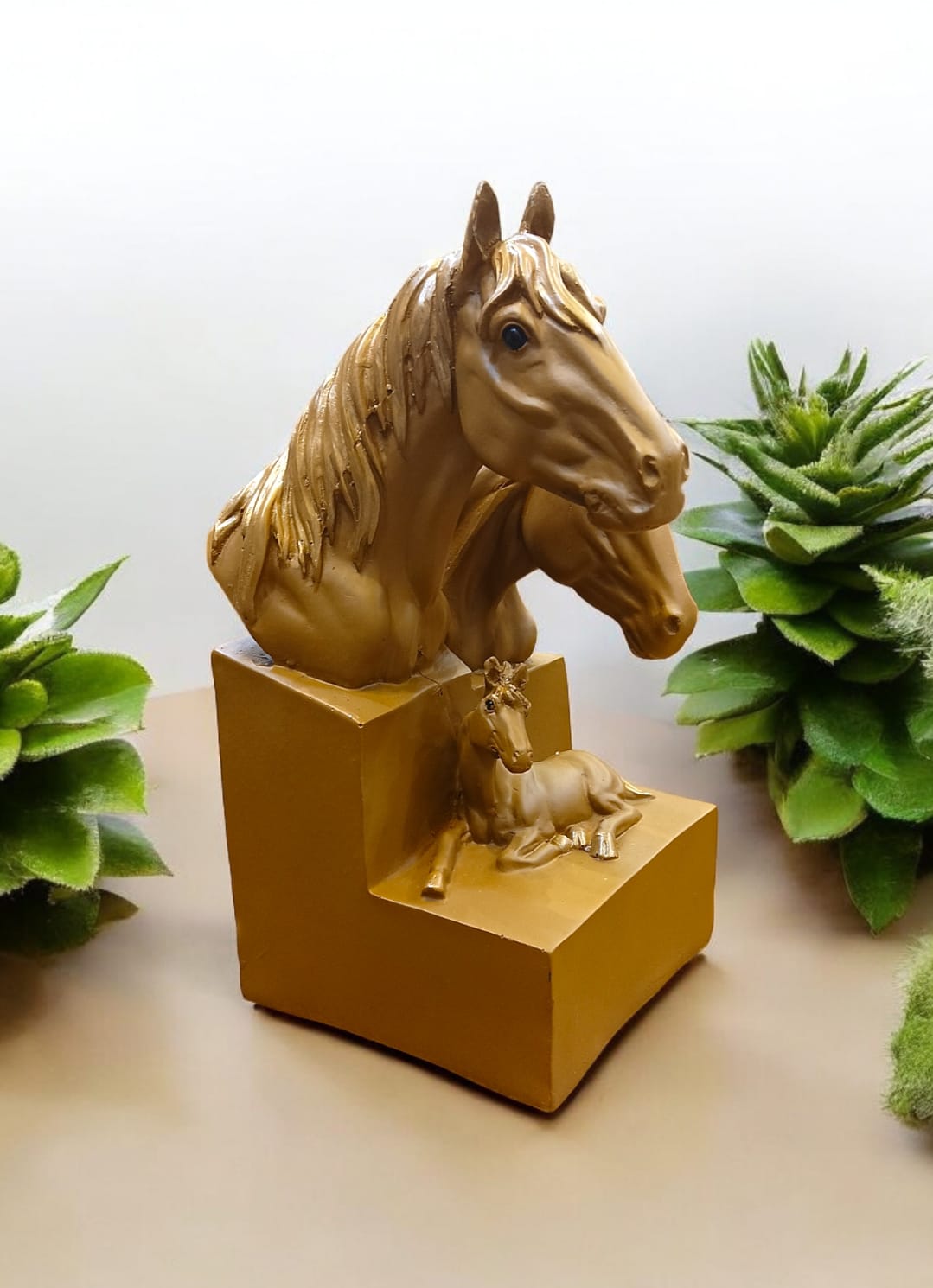 Brown Horse Family