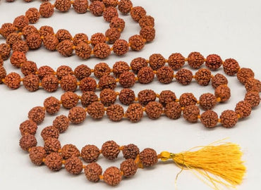 5 Mukhi Rudraksh mala,, Big Beads