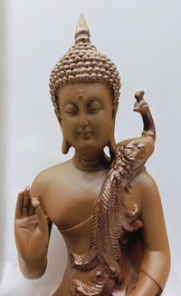 Peacock Buddha (Brown)