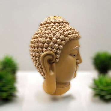 Big Brown buddha Face