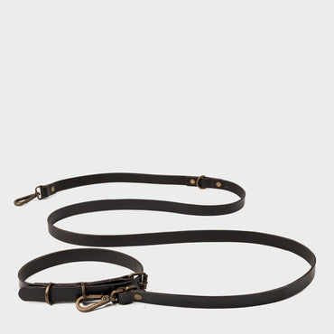 Pet Collar