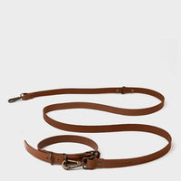 Pet Collar