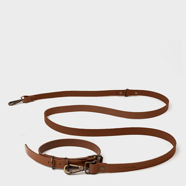 Pet Collar