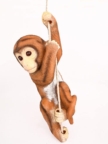 Hanging Monkey