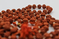 5 Mukhi Rudraksh Mala (Small Beads)