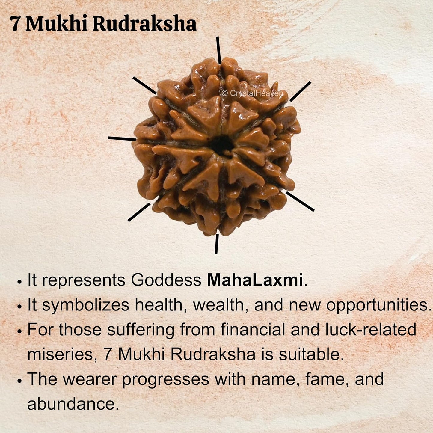 Saatmukhi Rudraksh