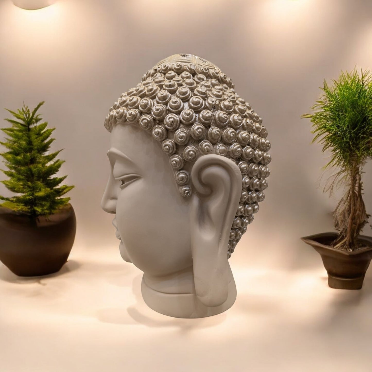 Big Silver Buddha face