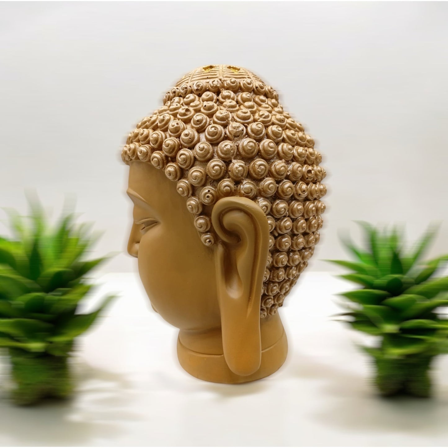Big Brown buddha Face