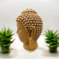 Big Brown buddha Face