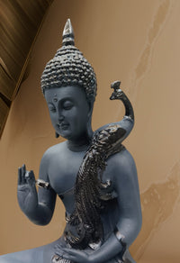 Choti Buddha Black