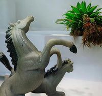 2 Jumping Horse
