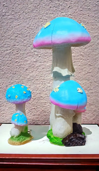 Mushroom Set
