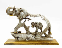 Elephant and Baby (Paras)