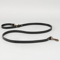 Pet Leash
