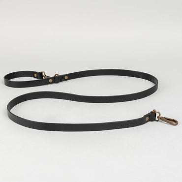 Pet Leash