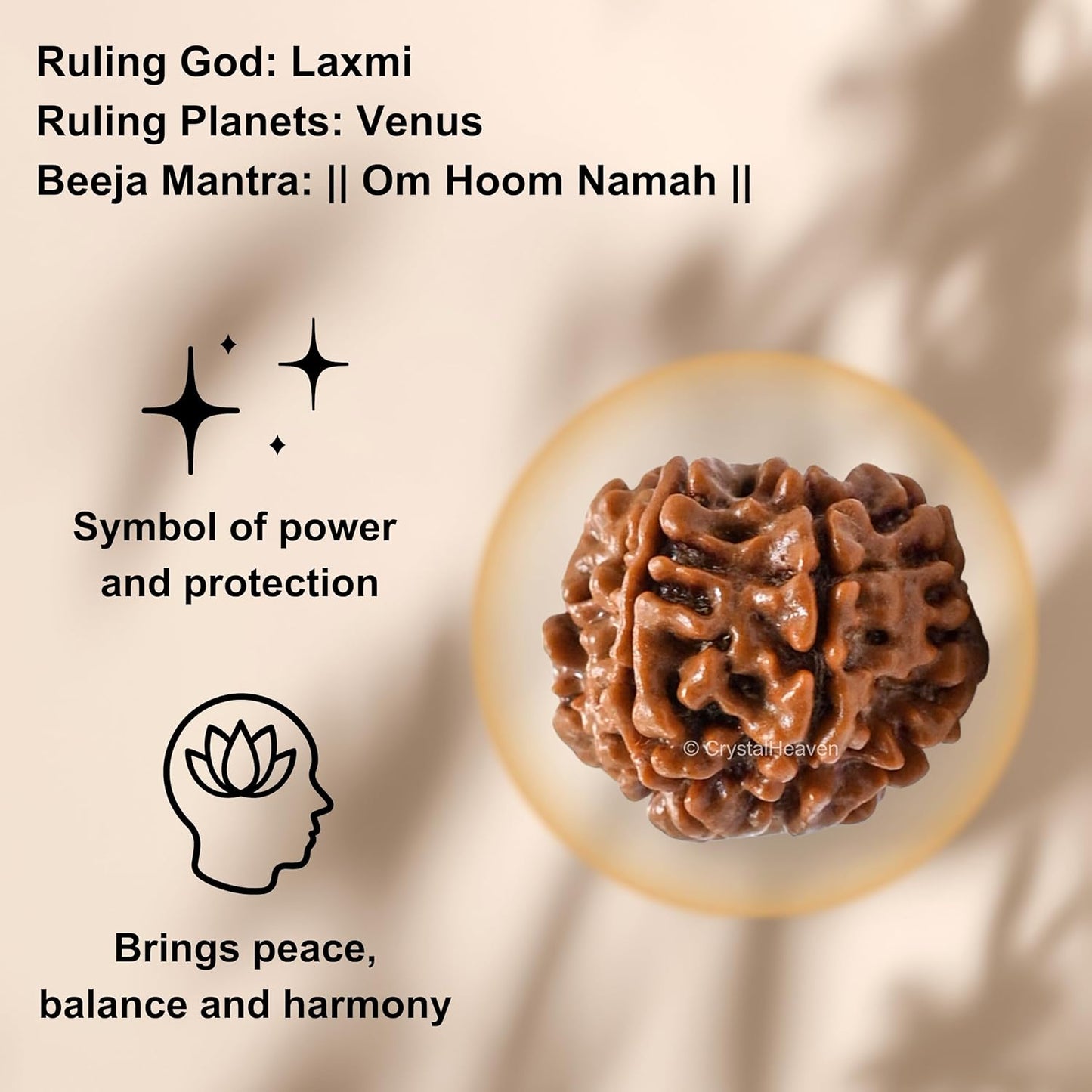 Saatmukhi Rudraksh