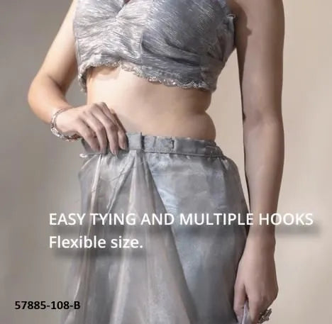Silver Gray Organza Zarkan-Work Evening-Wear Ready-To-Wear Saree