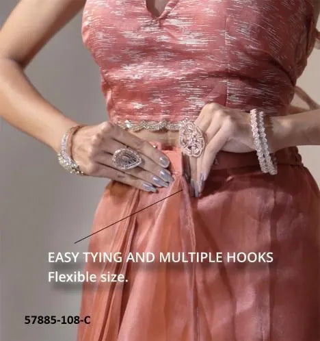 Salmon Organza Zarkan-Work Evening-Wear Ready-To-Wear Saree