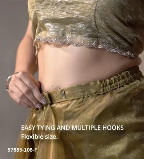 Olive Green Organza Zarkan-Work Evening-Wear Ready-To-Wear Saree