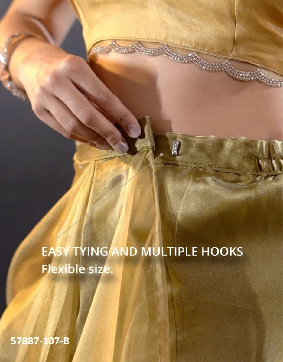 Golden Brown Organza Zarkan-Work Evening-Wear Ready-To-Wear Saree