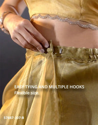 Golden Brown Organza Zarkan-Work Evening-Wear Ready-To-Wear Saree