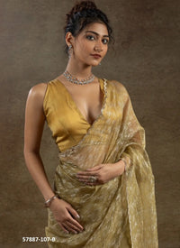Golden Brown Organza Zarkan-Work Evening-Wear Ready-To-Wear Saree