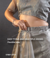 Gray Organza Zarkan-Work Evening-Wear Ready-To-Wear Saree
