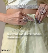 Light Green Net Zarkan-Work Evening-Wear Ready-To-Wear Saree