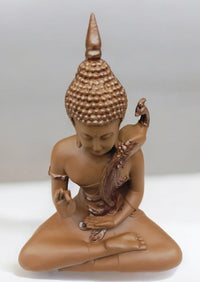 Peacock Buddha (Brown)