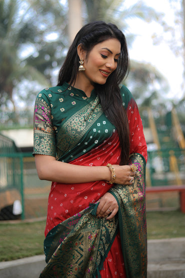 Multi color bandhej silk saree with zari weaving work
