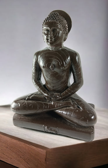 Black Mahaveer Ji