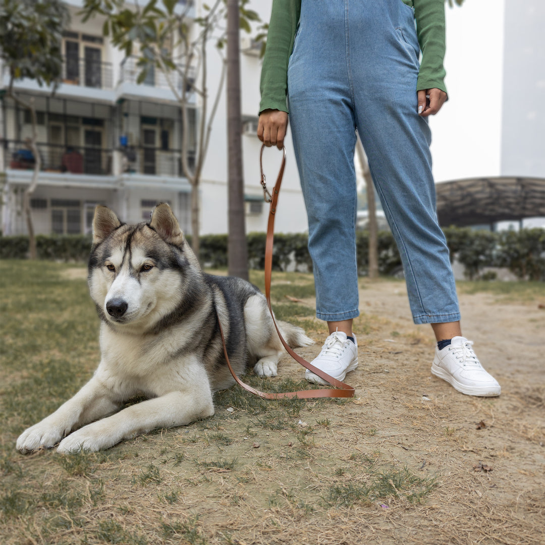 Pet Leash