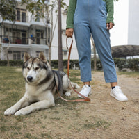 Pet Leash