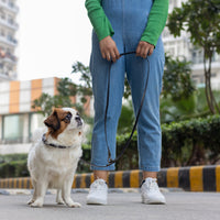 Pet Leash